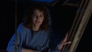 The Fly's poster