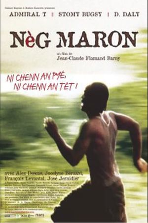 Nèg maron's poster