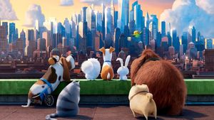 The Secret Life of Pets's poster