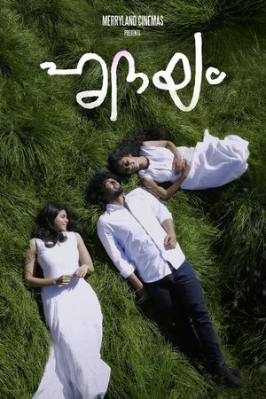 Hridayam's poster