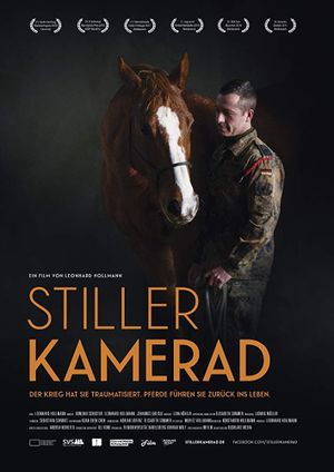 Stiller Kamerad's poster