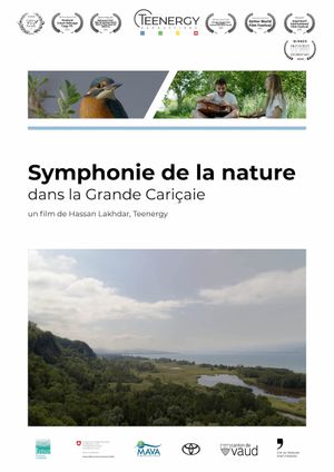 Symphonie de la nature dans la Grande Cariçaie's poster image