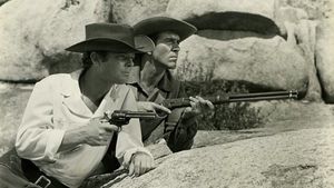 Son of a Gunfighter's poster