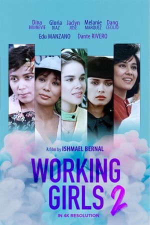 Working Girls 2's poster