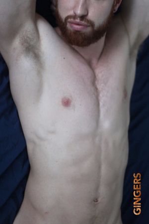 Gingers's poster