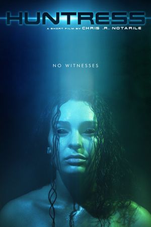 Huntress's poster