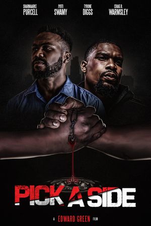 Pick A Side's poster image