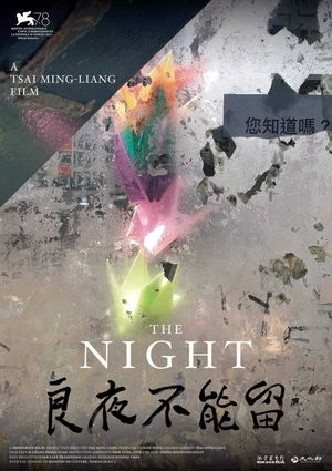 The Night's poster image