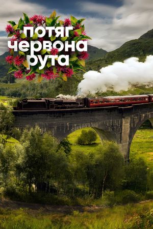Potyag «Chervona ruta»'s poster