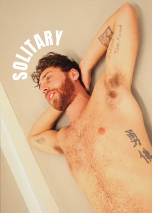 Solitary's poster image