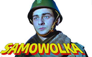 Samowolka's poster