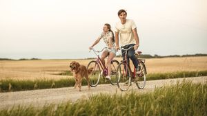 A Dog's Purpose's poster