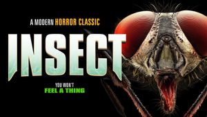 Insect's poster