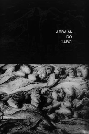 Arraial do Cabo's poster