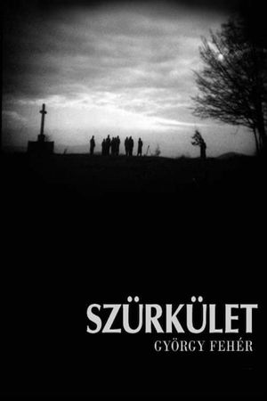 Twilight's poster