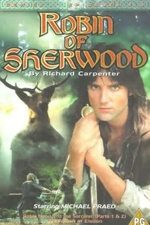 Robin of Sherwood: Robin Hood and the Sorcerer's poster image