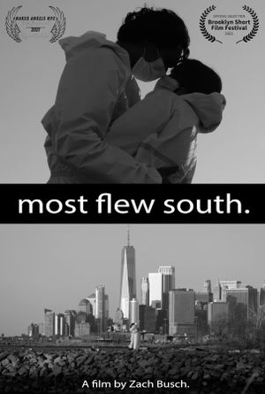 Most Flew South's poster