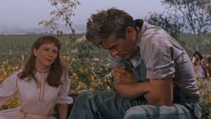 East of Eden's poster