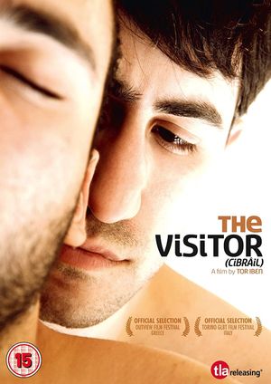The Visitor's poster