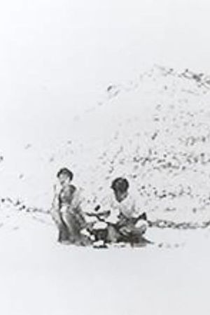 砂の涙's poster