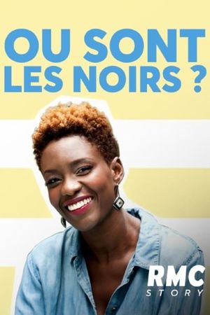 Où sont les noirs ?'s poster