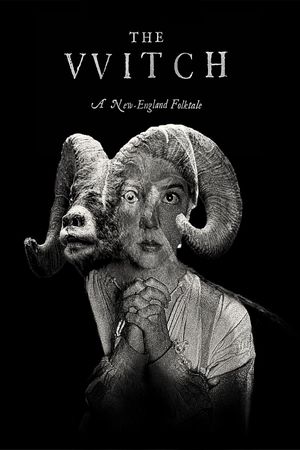 The Witch's poster