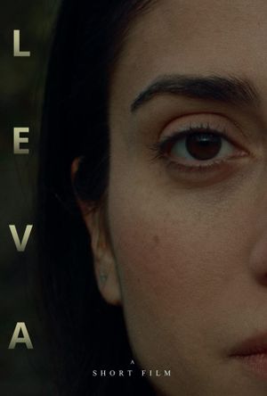 L E V A's poster
