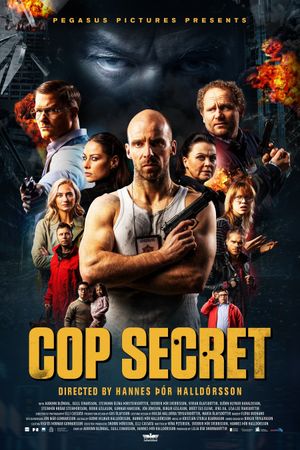 Cop Secret's poster