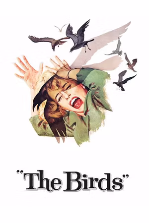 The Birds's poster