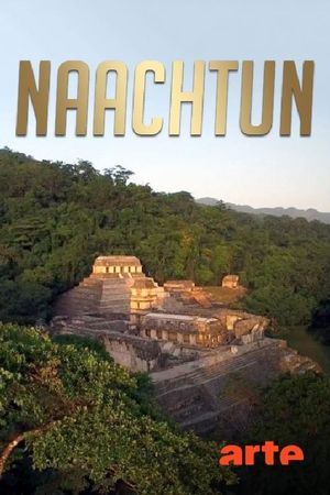 Naachtun - The Forgotten Mayan City's poster