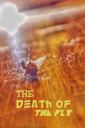 The Death of the Fly's poster image