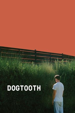 Dogtooth's poster