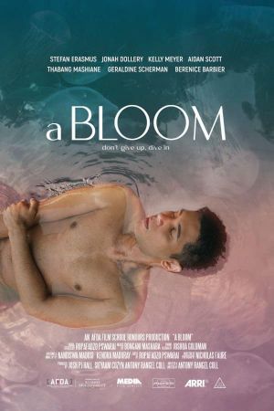 A Bloom's poster