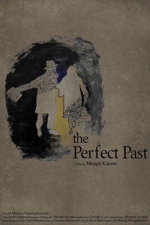 The Perfect Past's poster
