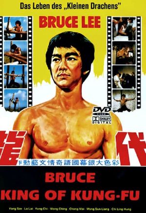Bruce: King of Kung Fu's poster
