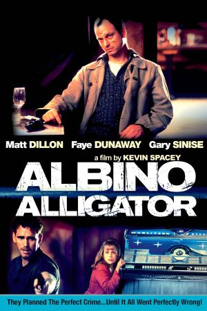 Albino Alligator's poster
