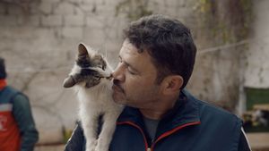 Kedi Adam's poster