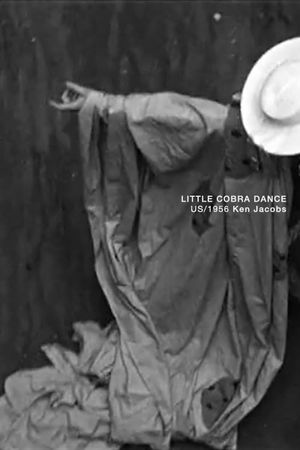Little Cobra Dance's poster
