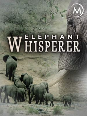 Elephant Whisp­erer's poster