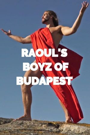 Raoul's Boys of Budapest's poster