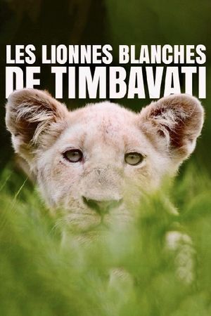 La terre des lionnes blanches's poster