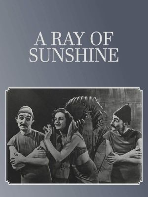 A Ray of Sunshine: An Irresponsible Medley of Song and Dance's poster image