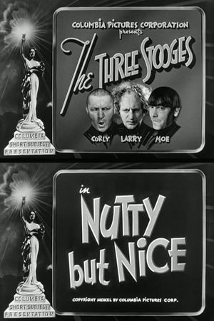 Nutty But Nice's poster