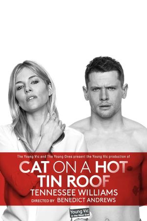 Cat on a Hot Tin Roof's poster