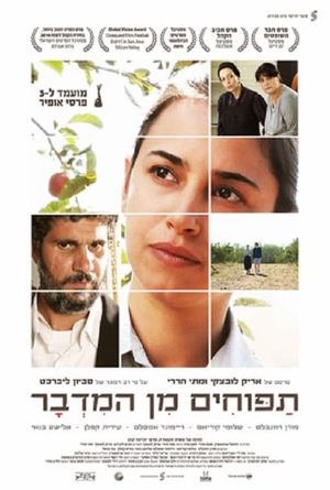 Apples from the Desert's poster