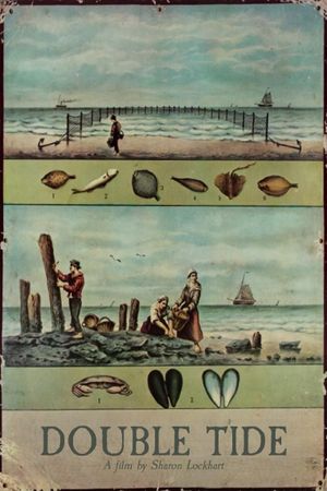 Double Tide's poster