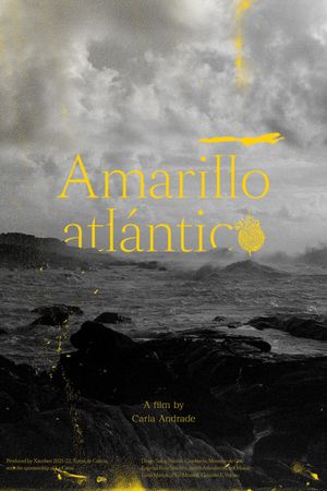 Atlantic Yellow's poster