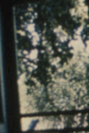 Song 19's poster