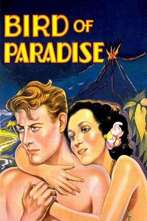 Bird of Paradise's poster