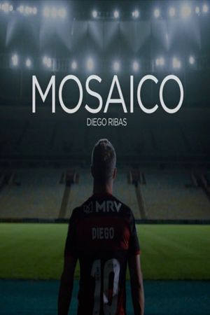 Mosaic's poster